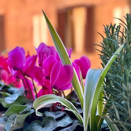 Casa Belfiore Apartamento *