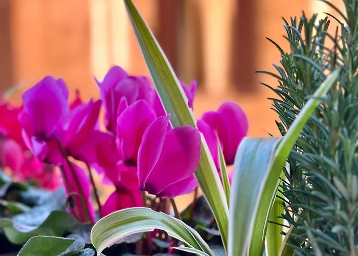 Casa Belfiore 아파트 *