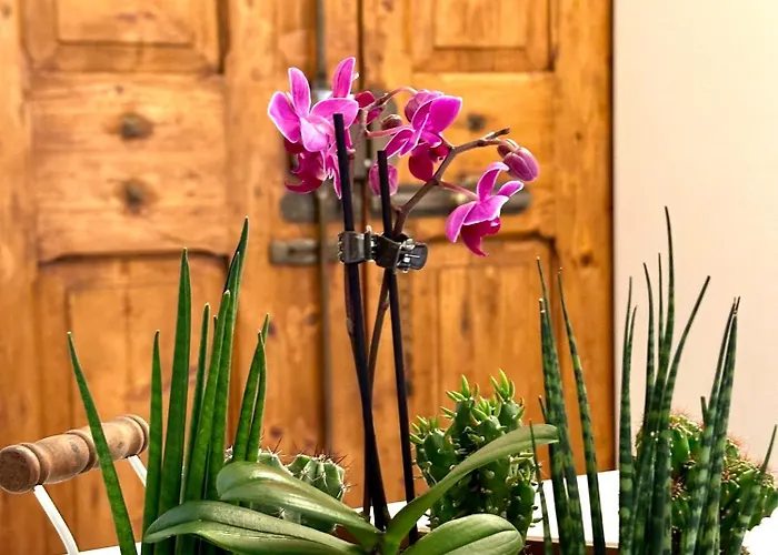 Casa Belfiore Daire